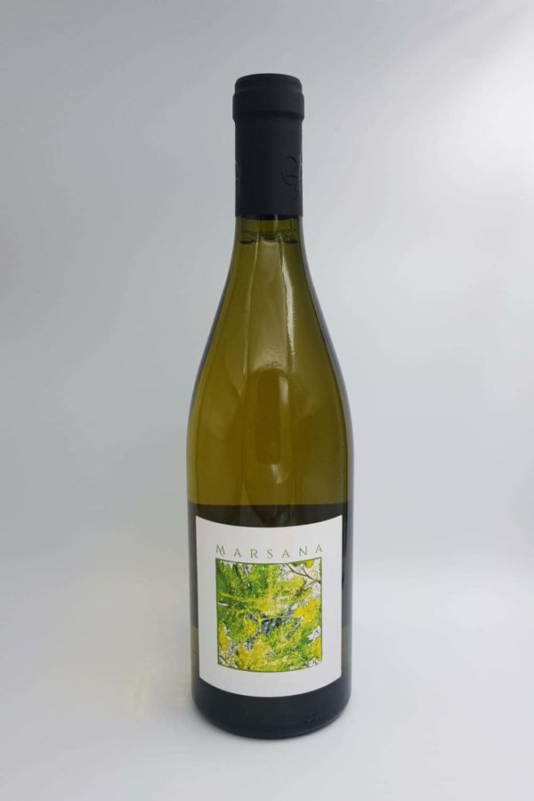 IGP Collines Rhodaniennes Marsana 2020  domaine 4 vents