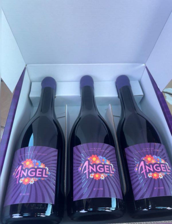Côteaux de Béziers 2022 Domaine Les Terres D 'Armelle